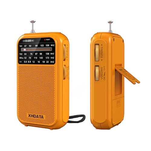 D220 portable radio sw - radio, am
